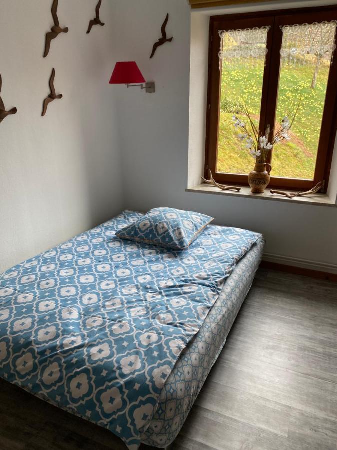 Au Nid Des Pies Apartment Soultzeren Ngoại thất bức ảnh